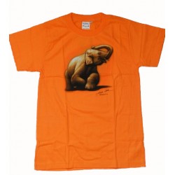 Tričko pro děti - slon, oranžová